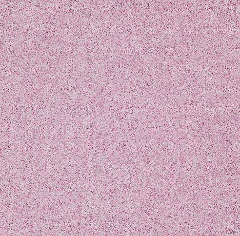 206 Raspberry